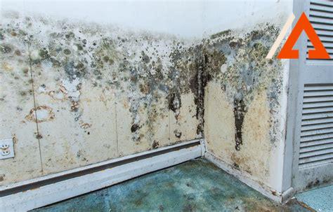 mold-in-new-construction,Causes of Mold in New Construction,