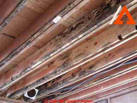 mold-on-new-construction-framing,Causes of Mold on New Construction Framing,
