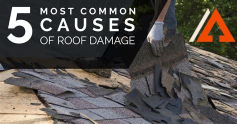 rescue-roofing-construction,Common Causes of Roof Damage,