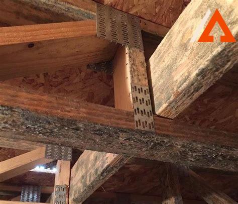 mold-on-new-construction-framing,Preventing Mold Growth on New Construction Framing,