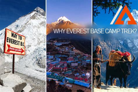 everest-construction,Why Choose Everest Construction,