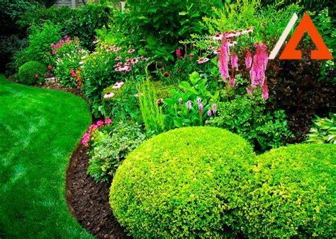 new-construction-landscaping-process,Choosing plants for landscaping,