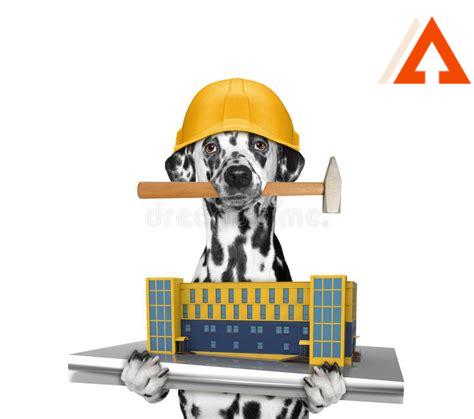 paw-construction,Dog Paw Construction,