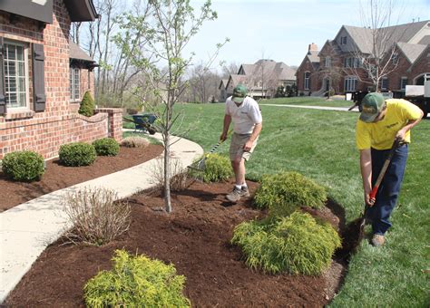 disessa-landscaping-and-construction,Landscaping Services,